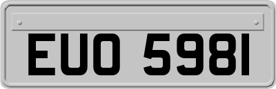 EUO5981