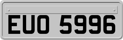 EUO5996