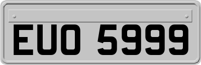 EUO5999