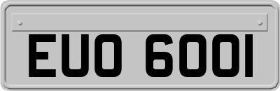 EUO6001