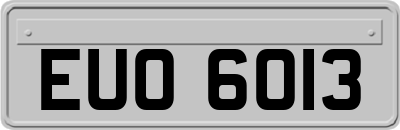 EUO6013