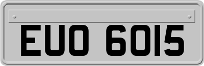 EUO6015