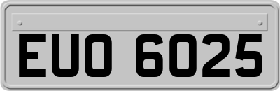EUO6025