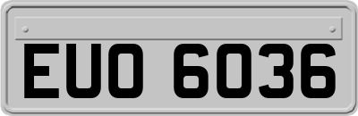 EUO6036