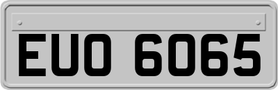EUO6065