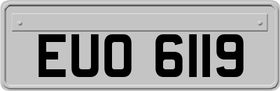 EUO6119