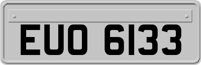 EUO6133