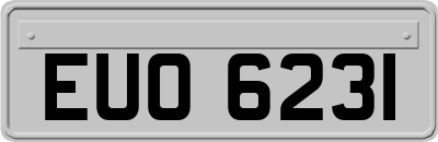 EUO6231