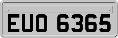 EUO6365