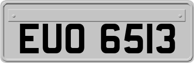 EUO6513