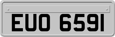 EUO6591