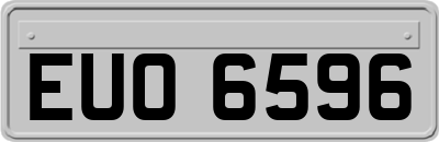 EUO6596