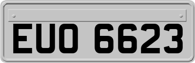 EUO6623