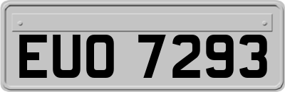 EUO7293