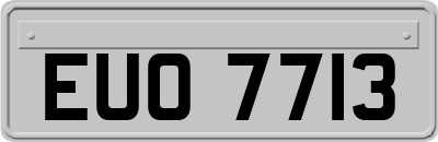 EUO7713