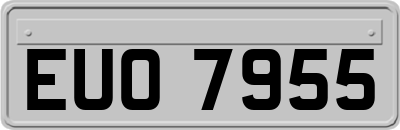 EUO7955