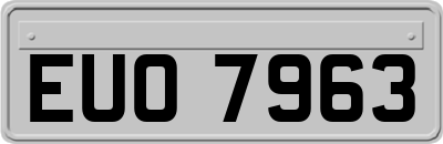 EUO7963