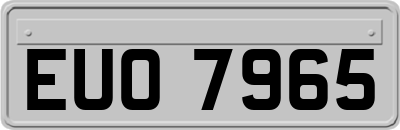 EUO7965