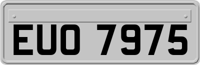 EUO7975