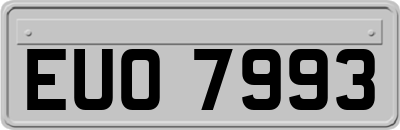 EUO7993