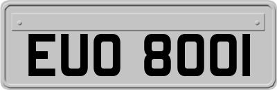 EUO8001