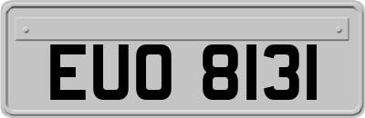 EUO8131