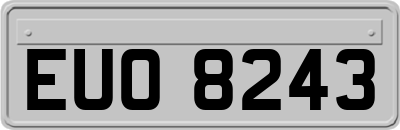 EUO8243