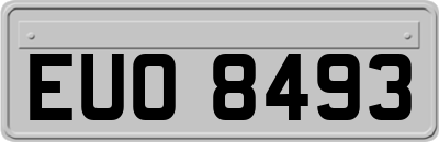 EUO8493