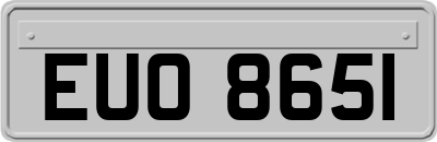 EUO8651
