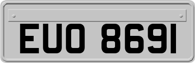 EUO8691