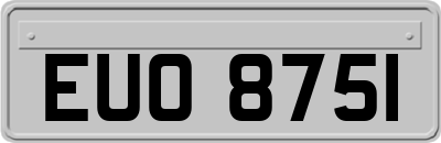 EUO8751