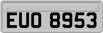 EUO8953