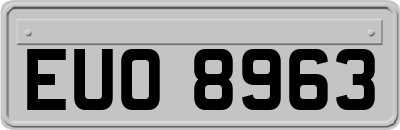 EUO8963