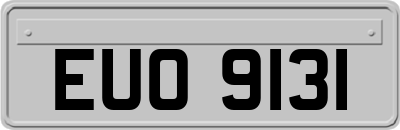 EUO9131