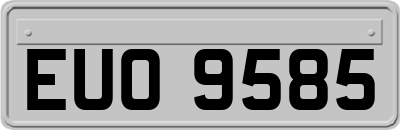 EUO9585