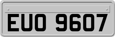EUO9607