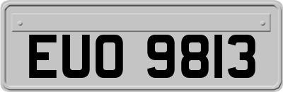 EUO9813