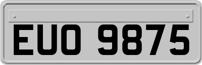 EUO9875
