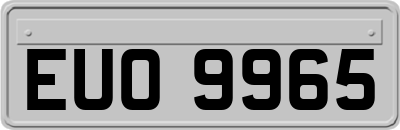 EUO9965