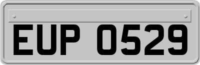 EUP0529
