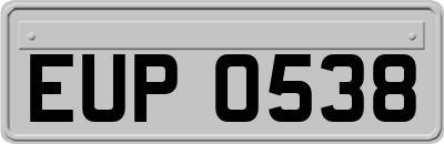 EUP0538