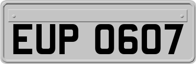 EUP0607