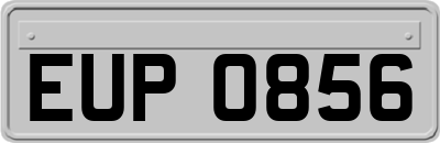 EUP0856