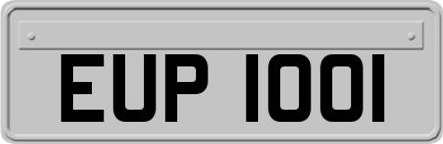 EUP1001