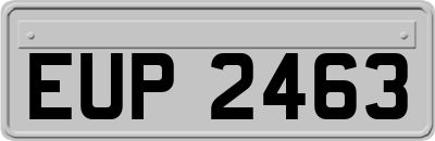 EUP2463