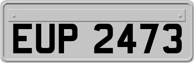 EUP2473