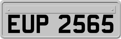 EUP2565