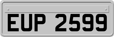 EUP2599