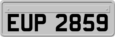 EUP2859