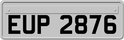 EUP2876